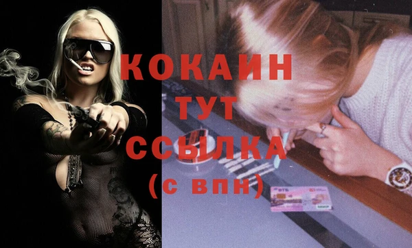 мдпв Верхний Тагил